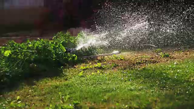 花园灌溉喷灌机浇灌草坪视频素材