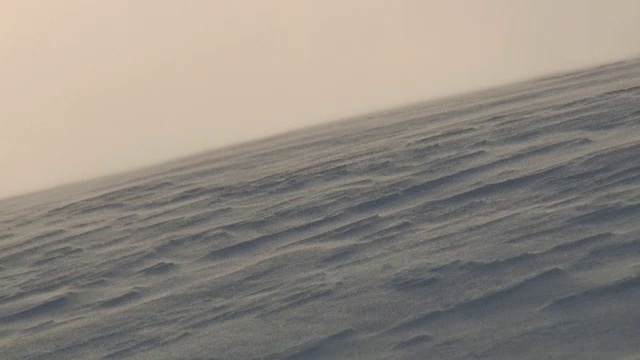 暴风雪中的雪景。视频素材