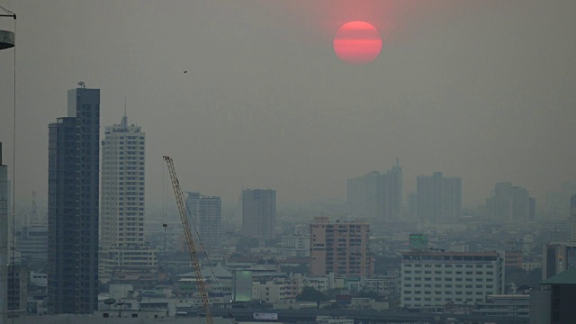 夕阳和鹤的剪影视频素材