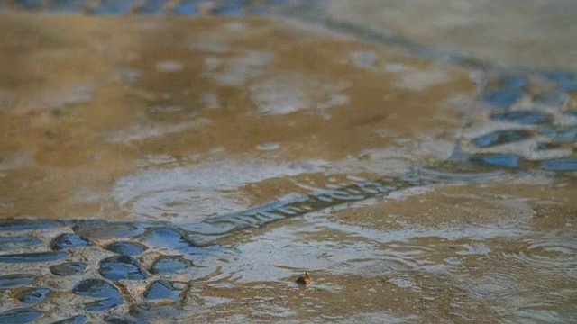 雨点落在铺着褐色瓷砖的路上视频素材