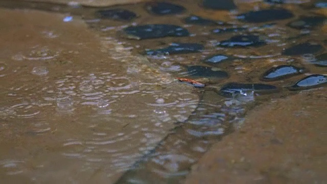 雨水倾泻在沥青和瓷砖上视频素材