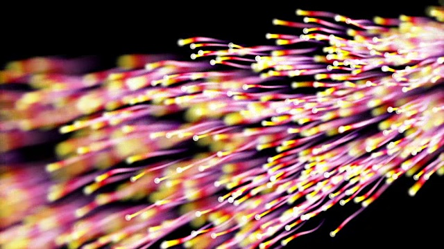 生物网络彩色电线和以太网电缆视频素材