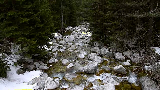 山区河流的石头视频下载