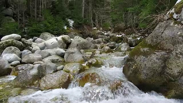 山区河流的石头视频下载