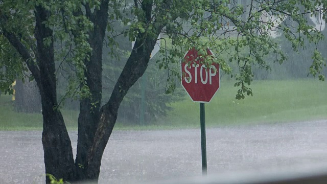 停车标志和树在瓢泼大雨中视频下载