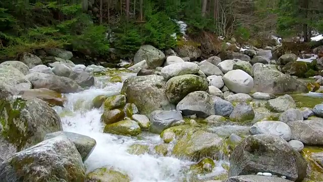 山区河流的石头视频素材