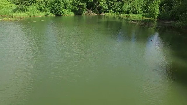 飞过森林里的水面视频素材