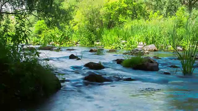 森林溪流时间流逝视频素材