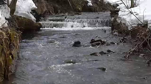 雨后水在小溪中流淌视频素材