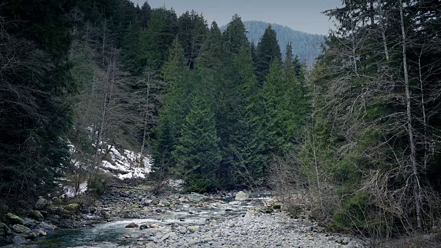 荒野中的河流景观视频素材