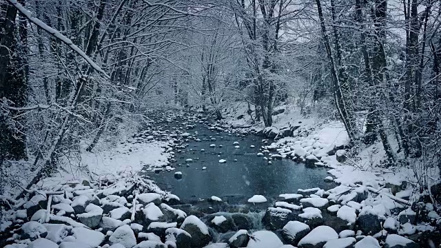 雪林中的河流视频素材