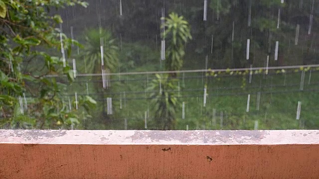 热带暴雨视频素材