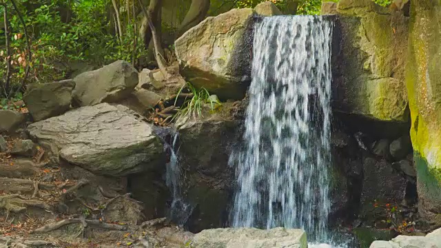 山林中的小溪视频素材