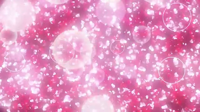 きらきら桜吹雪ワイプ视频素材