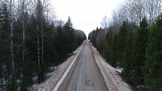 高大树木之间的空旷道路视频素材