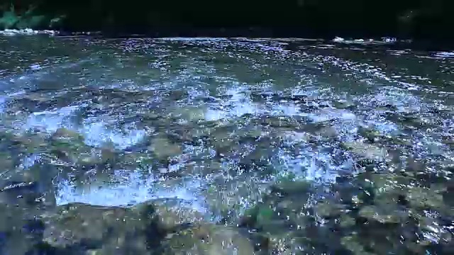景观与速度水在山区河流视频素材