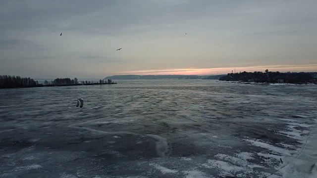 冬天的早晨的风景。鸟儿在冰雪覆盖的河上飞翔视频素材