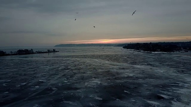 冬天的早晨的风景。鸟儿在冰雪覆盖的河上飞翔视频素材