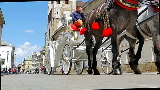 欧洲马车，传统浪漫旅游骑乘旅游视频素材