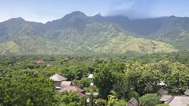 透过高山热带树木的树叶从高处鸟瞰。印度尼西亚。巴厘岛。视频素材