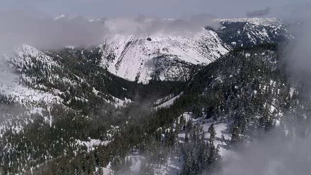 空中飞行通过雾云揭示朦胧的雪山森林视频素材