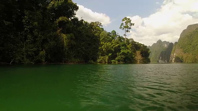 泰国Khao Sok Cheow Larn湖。靠近丛林的树梢。美丽的原始雨林。视频素材