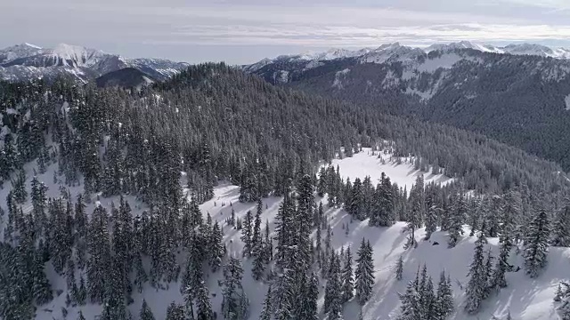 美丽的直升机风景瀑布山脉与新鲜的粉末雪在森林树木视频素材