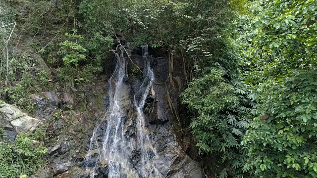 雨林中的瀑布。视频素材