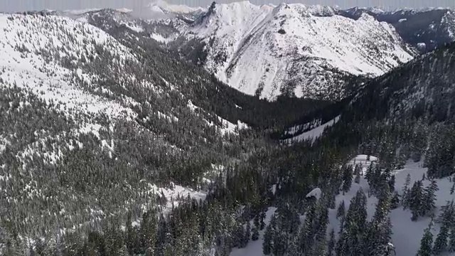 从直升机上俯瞰阳光明媚的森林山谷和白雪覆盖的喀斯喀特山脉山峰视频素材