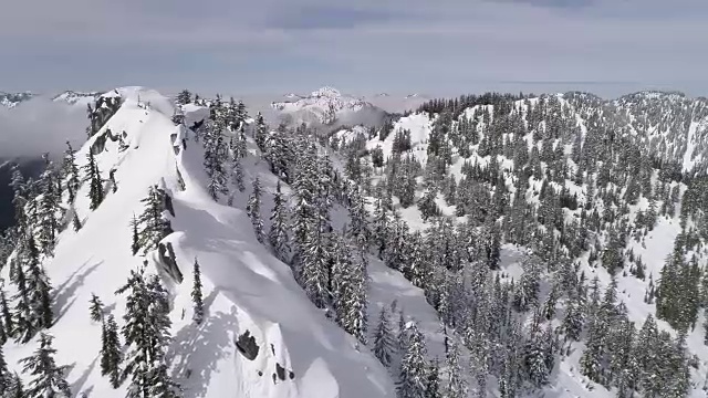 史诗般的冬季仙境空中新鲜的粉末雪在树木在太平洋西北的山区森林视频素材