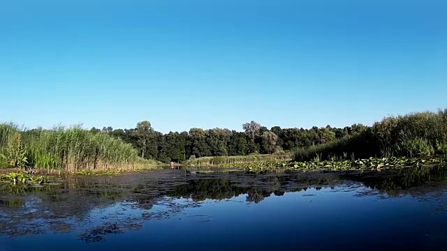 乘船穿过沼泽视频素材