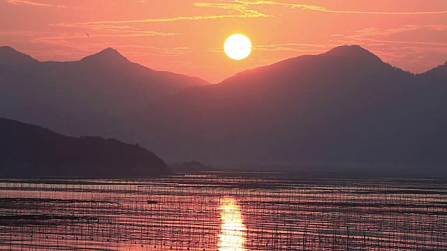 福建霞浦市海中养殖的紫菜视频素材