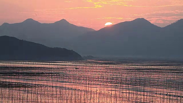 福建霞浦市海中养殖的紫菜视频素材