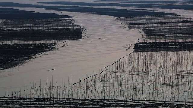 福建霞浦市海中养殖的紫菜视频素材