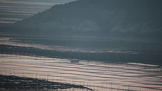 福建霞浦市海中养殖的紫菜视频素材