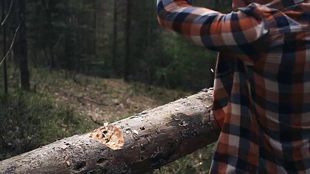 穿着格子衬衫的强壮伐木工正在树林里用一把锋利的斧头砍着一棵大树视频素材