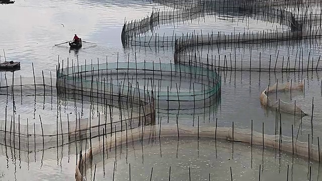 在福建省霞浦市的蟹养殖中，蟹均采用圈护笼养殖视频素材