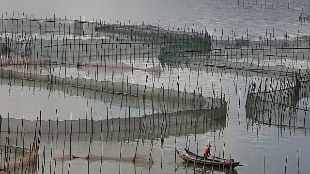 在福建省霞浦市的蟹养殖中，蟹均采用圈护笼养殖视频素材