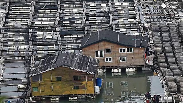 福建霞浦，农民在海边养殖鲍鱼，在水中放入大量笼子。他们生活在海面上。视频素材