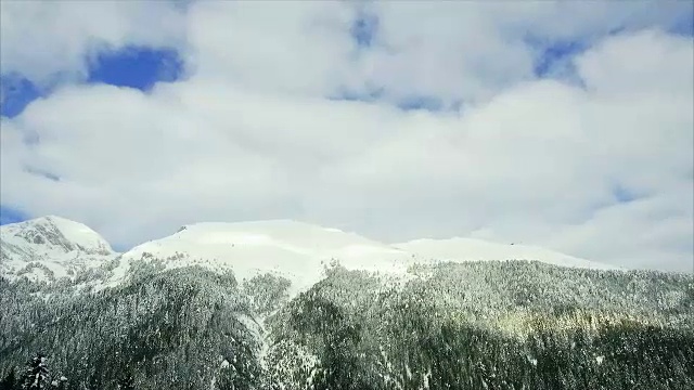 冬季景观山森林雪视频素材