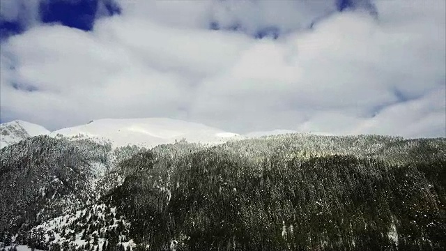 冬季景观山森林雪视频素材