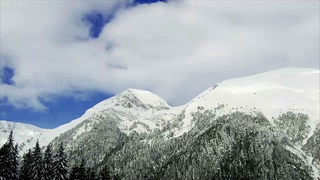 冬季景观山森林雪视频素材