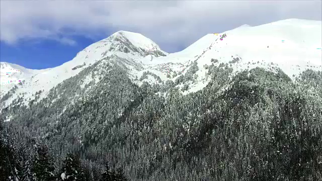 冬季景观山森林雪视频素材