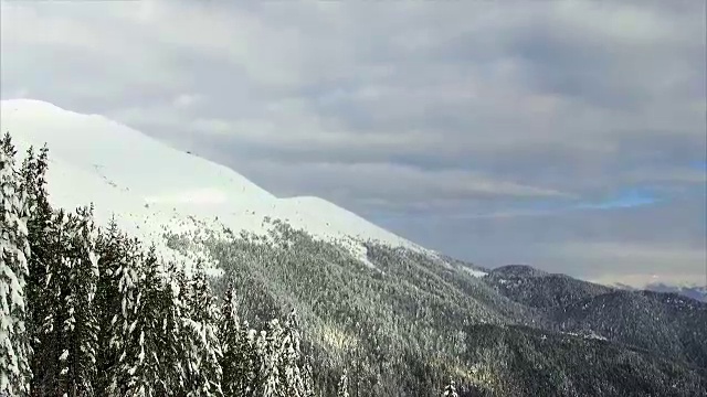 冬季景观山森林雪视频素材