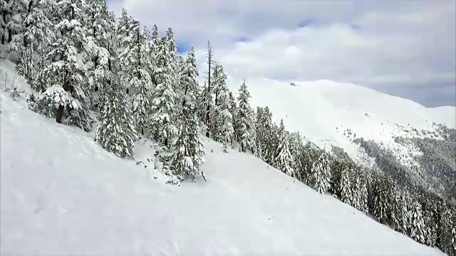 冬季景观山森林雪视频素材