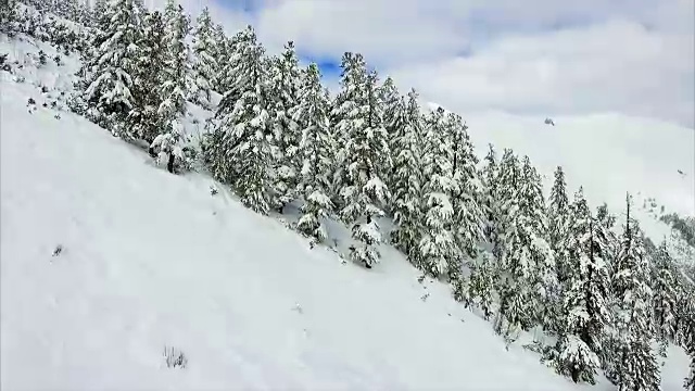 冬季景观山森林雪视频素材