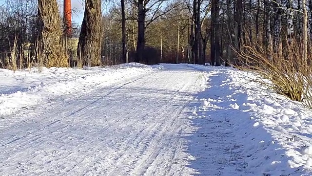 圣彼得堡红村- 2017年1月21日:女孩坐在西伯利亚哈士奇拉的雪橇上。雪橇狗哈士奇雪橇和雪橇上的雪橇。动物在雪橇上的运动比赛视频素材