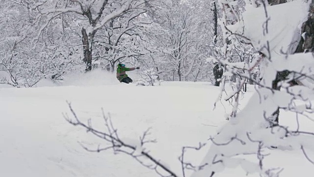 滑雪者免费骑野地树跑到处喷粉视频素材