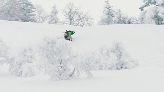 在日本北海道，滑雪板在深粉雪中滑行视频素材