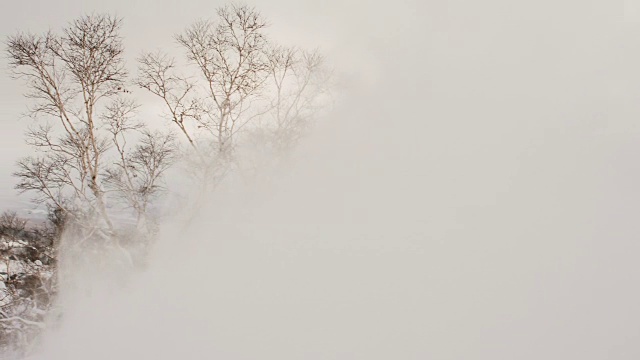 滑雪板斜杠喷雪向相机日落剪影视频素材